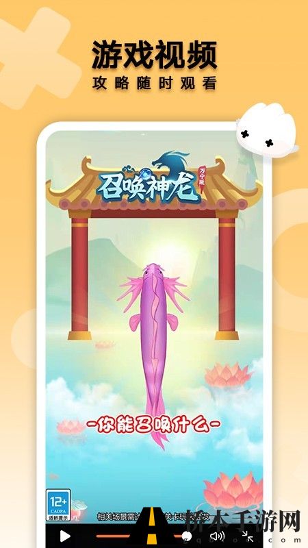 花瓣轻游