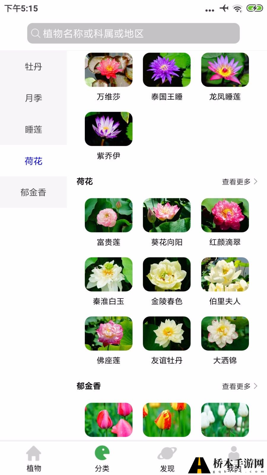 植物百科