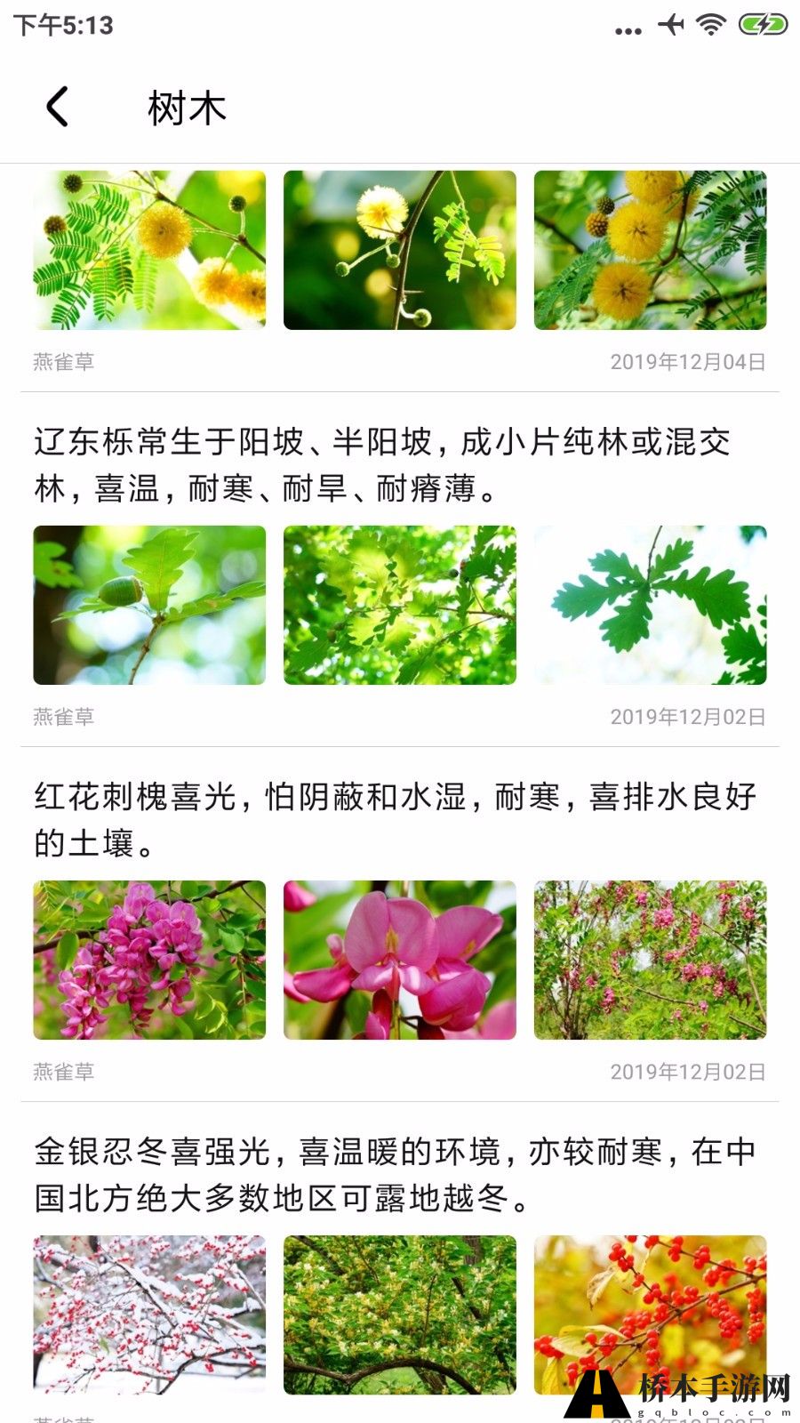 植物百科